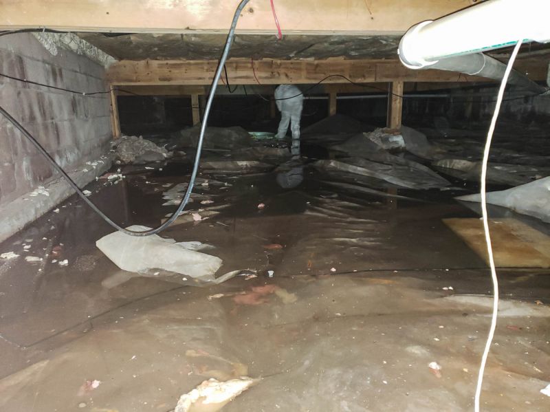 Dry and Protected Basement